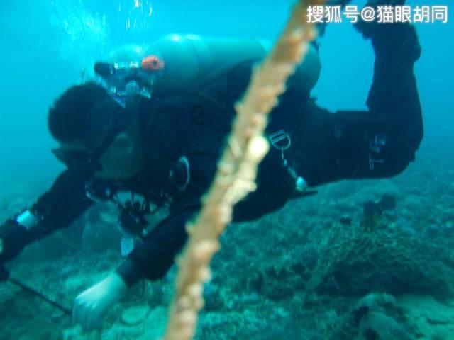 去年12月南通居民消费价格同比下降0.2%